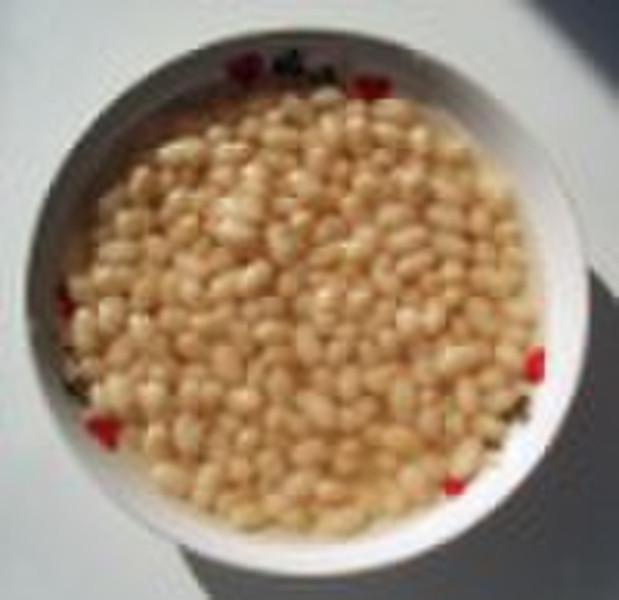 canned white beans in brine