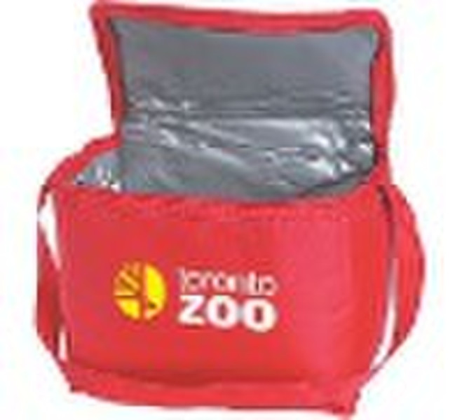 Insulated cooler bag