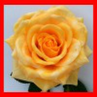 real touch flower - artificial rose