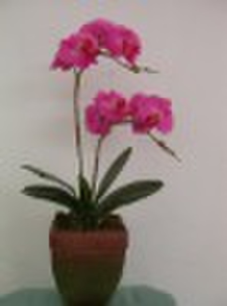 artificial orchid