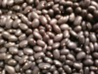 HSP CHINESE SMALL BLACK KIDNEY BEANS