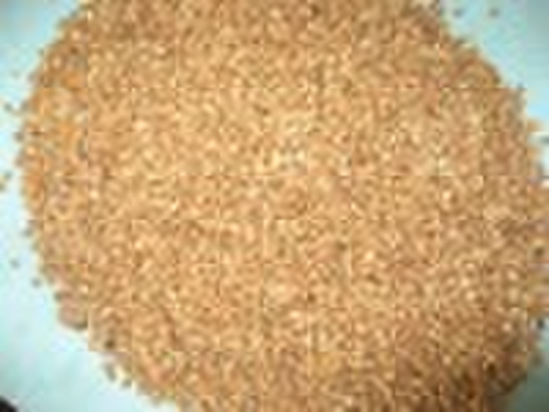 2010 crop Roasted Buckwheat Kernels