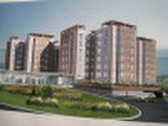 building coating,latex paint,emulsion paint-SY-W90