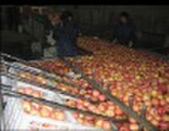 Fruit cleaning ,drying and waxing machine