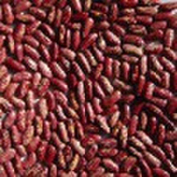 Red Speckled Kidney Beans