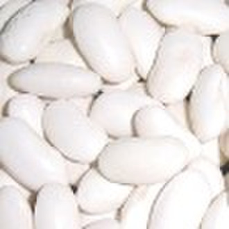 Large White Kidney Bean