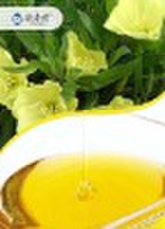 Best Evening primrose oil GLA10%