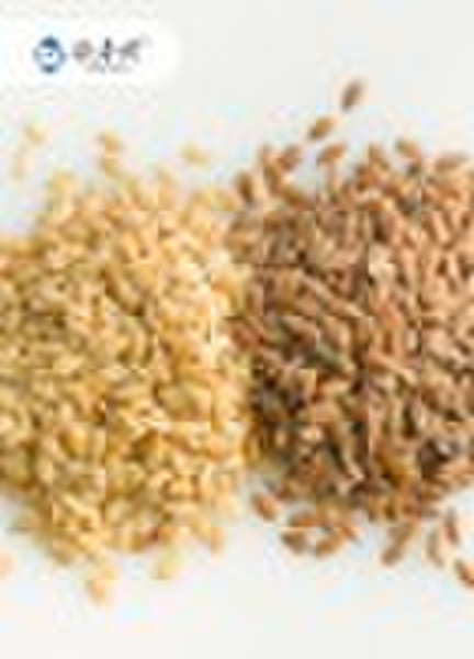 Organic flax seed (brown or golden)