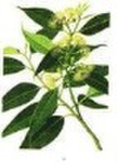 Pure Eucalyptus Oil