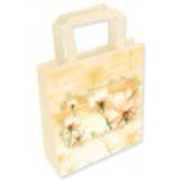 2011 Newest Paper Bag