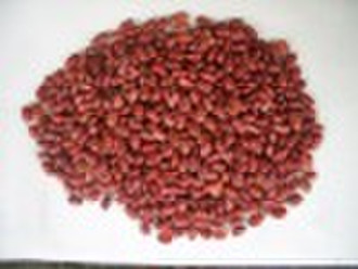 Red kidney beans