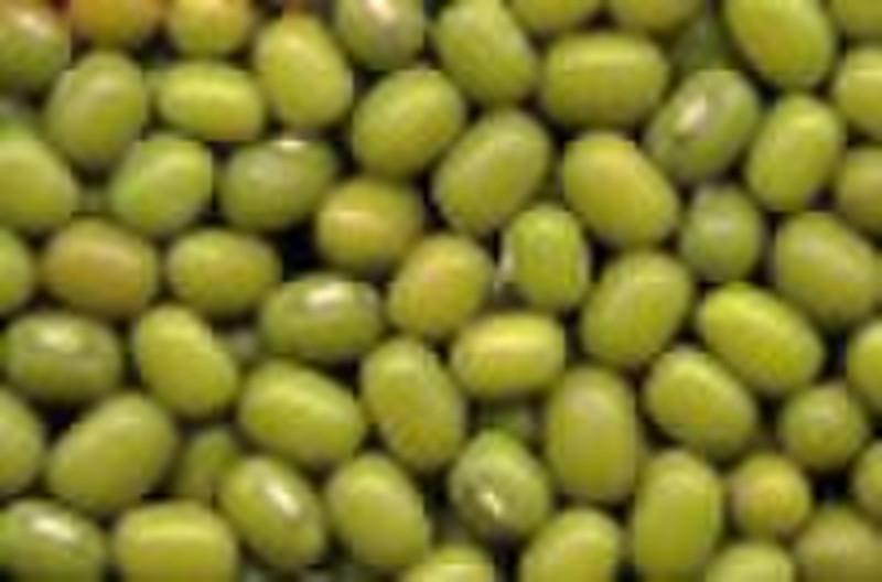 mung beans