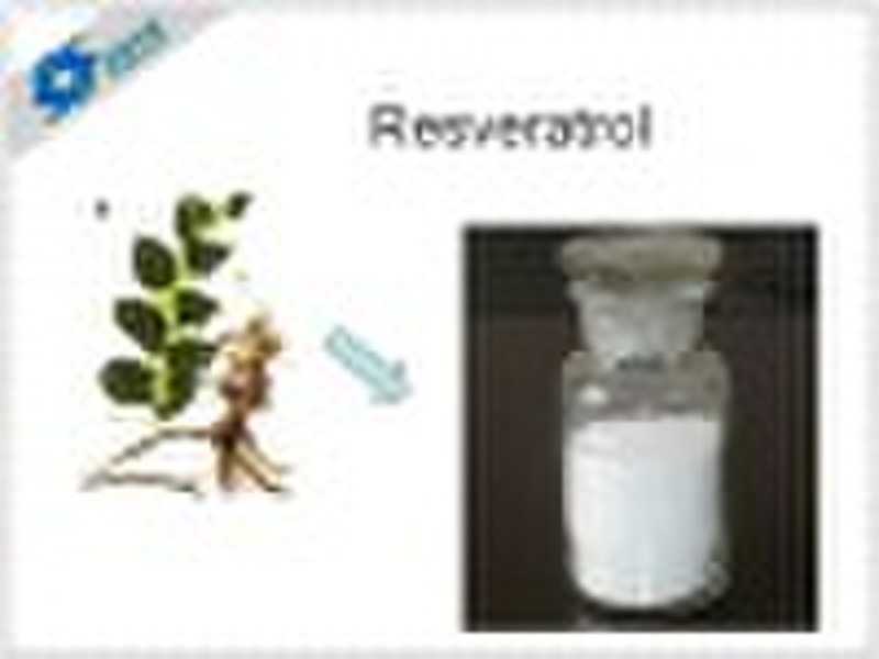 Resveratrol 98%