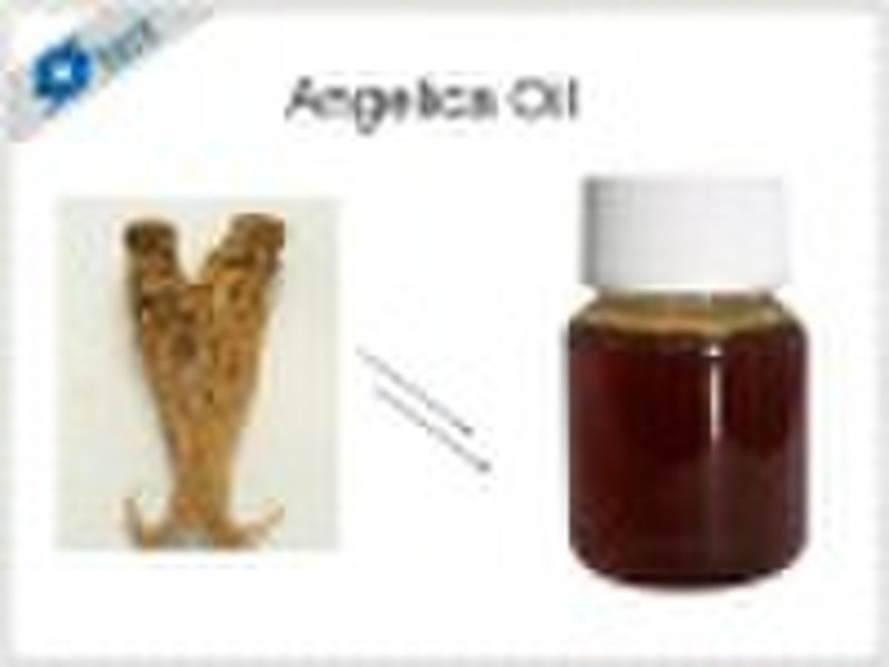 100% pure and natural Angelica Oil (have stock)