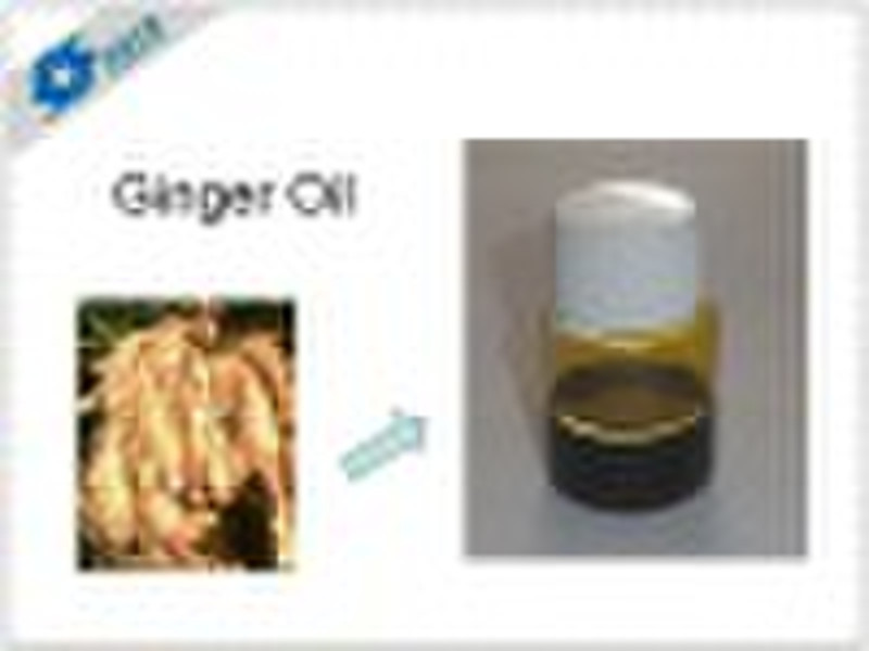 ginger oil (oleoresin)
