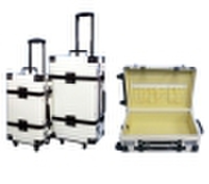 Trolley Case