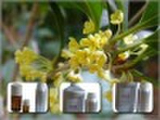 Osmanthus Beton