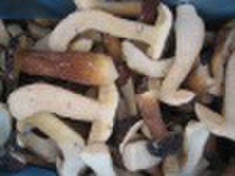 supply frozen top materials mushroom