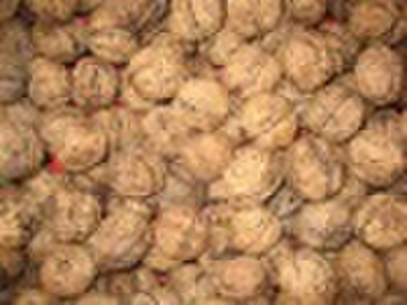 walnut in shell yunnan  original