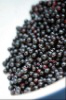 Elderberry Extract