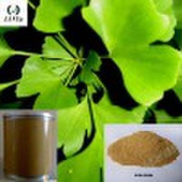 Ginkgo Biloba Extract