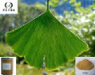 Ginkgo Biloba Extract/plant extract