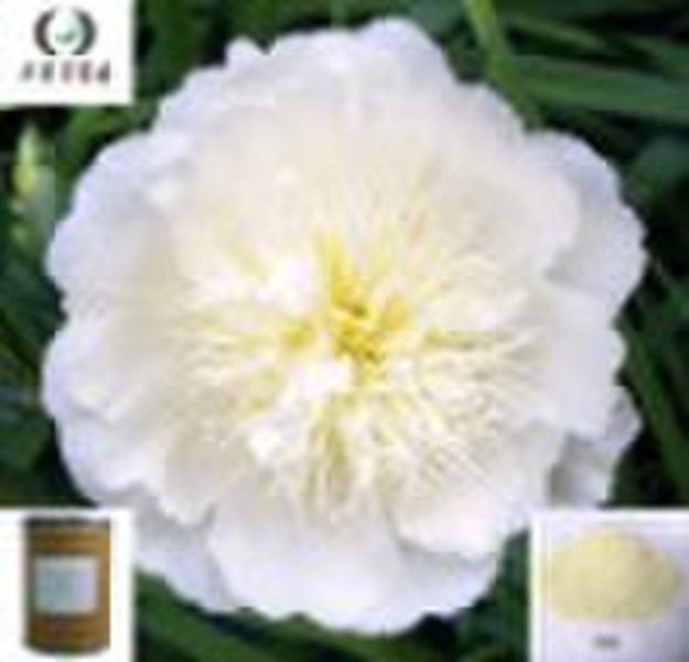 Paeonia Lactiflora Extract 98% /plant extract