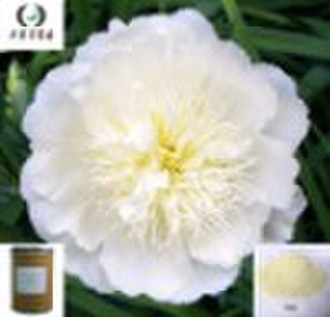 Paeonia Lactiflora Extract/herbal extract