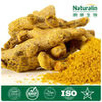 Turmeric Extract 15% Curcumin