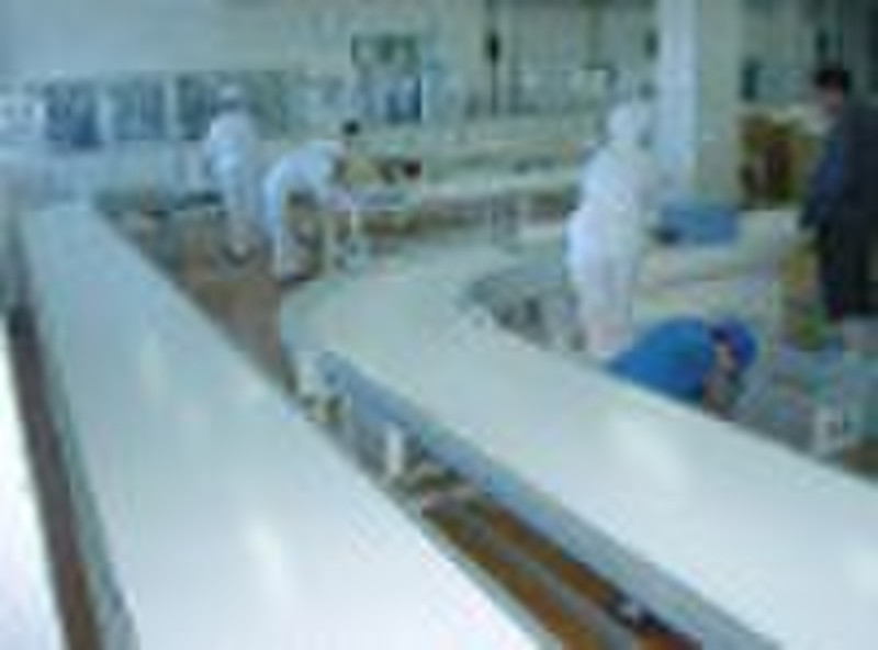 belt conveyor (BO series)