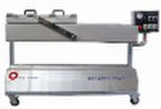 Vacuum Packaging machine DZ-500-2S