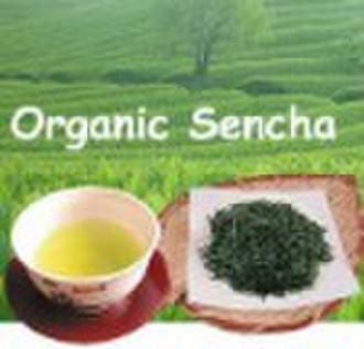 Organic Green Tea Sencha