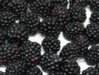 IQF Brombeeren