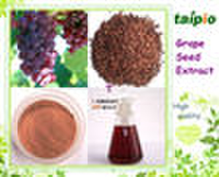 Grape Seed Extract