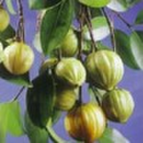 Garcinia Combogia Extract