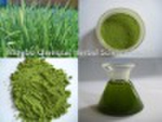 Barley Grass Powder 200 mesh