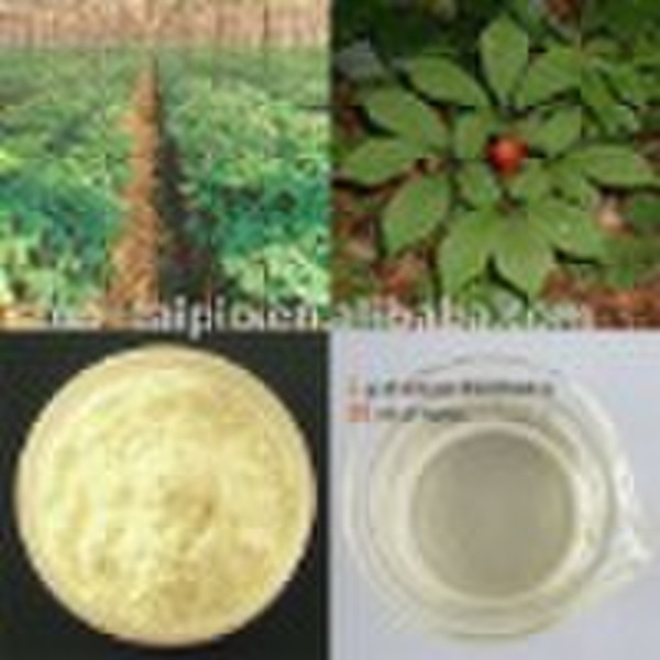 Panax Ginseng Leaves Extract