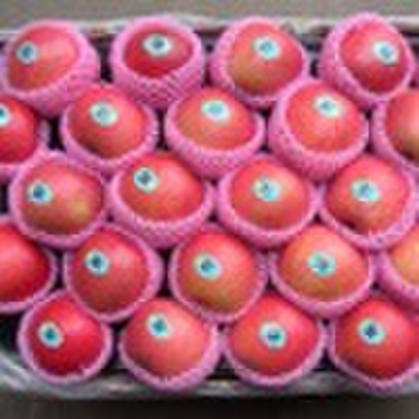 fresh fuji apple