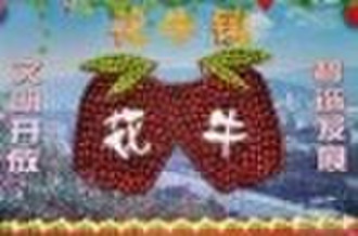 fresh red huaniu apple