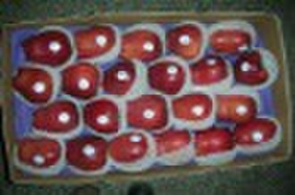 fresh chinese huaniu apple