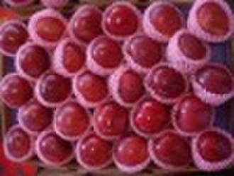 fresh red huaniu apple