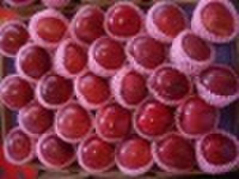 fresh red huaniu apple