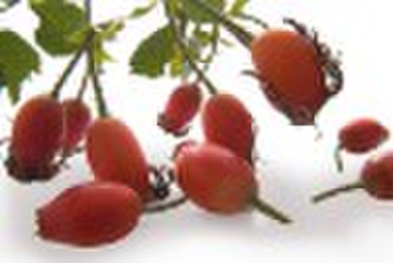 Rosehips extract