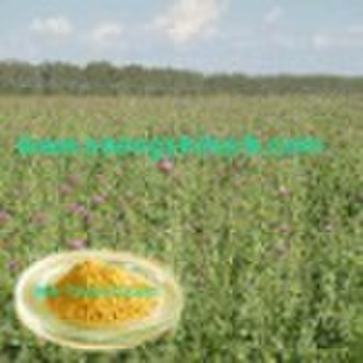 Milk thistle extract