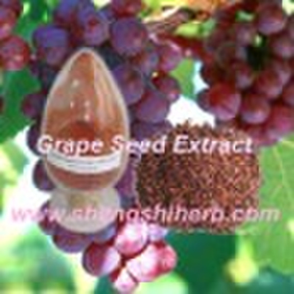 Grape seed extract