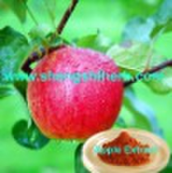 Apple Extract