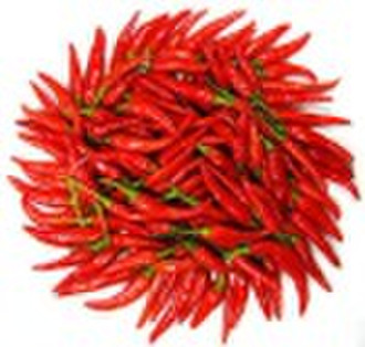 Paprika Oleoresin