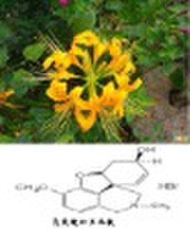 99%Galanthamine Hydrobromide