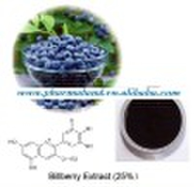 European Billberry Extracts Powder  25%