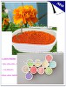 Plant Extract Pellets---Lutein Pellets ( 20 Mesh -